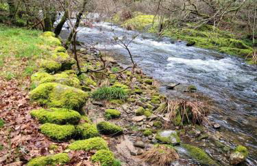 CHALÉ, Pedra, Isolada, Natureza, Rio - Ecoturismo - Foto 12