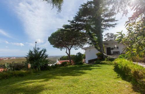 The Shelter - Foto 1