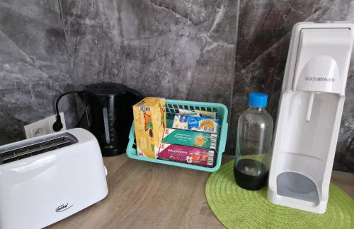 FERIENHAUS AyNa, direkt an der Schweizer Grenze - Foto 20