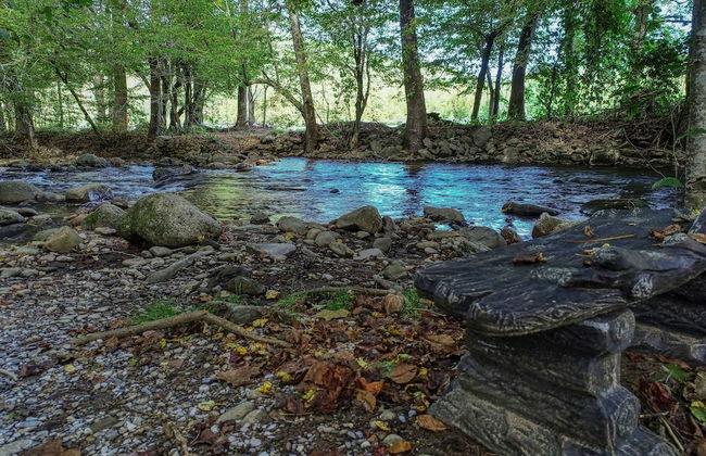 Sweet - 2 Bedrooms, 2 Baths, Sleeps 6 Cabin by RedAwning - Foto 18