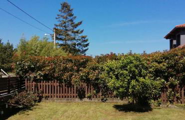 La Casa Roja Asturias - Foto 55