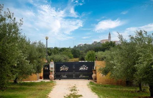 Villa Fortuna Visnjan - Foto 20