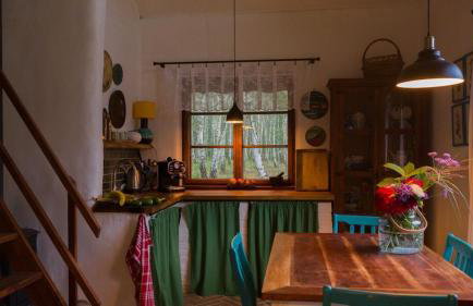 Siedlisko MiłoBrzózka - Photo 40