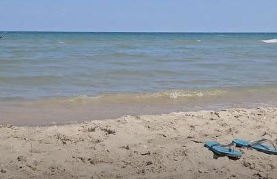 Redwood Retreat by the Lake - Foto 12