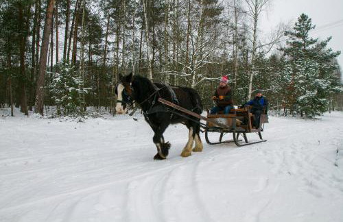 Kolorowe Wzgórze agroturystyka i konie - Foto 19