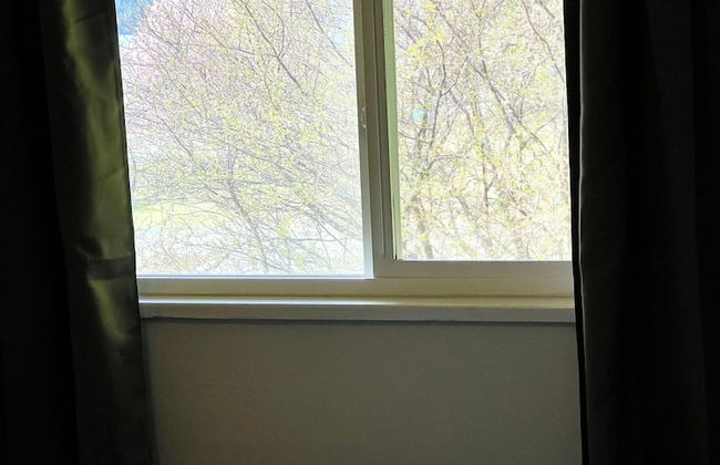 WC Oceanside Inn - Foto 5