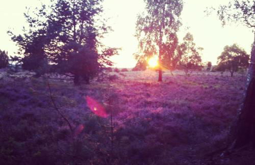 Ferienwohnung Heide View - Foto 51