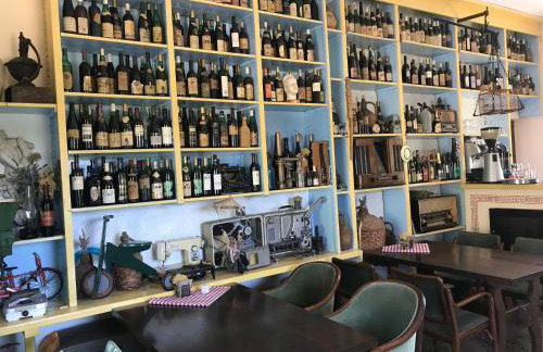 VisitAylinVis - Foto 21