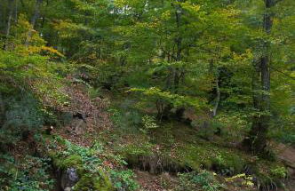 Apartamentos Blanca Senda del Oso - Foto 77