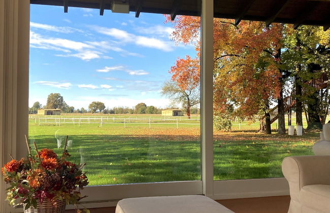 Agriturismo Relais Tenuta il Cigno - Foto 46