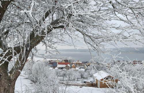 Ferienwohnung Seebaer - Foto 21