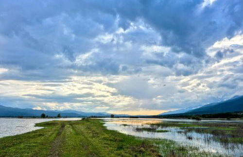 Kerkini Houses - Foto 9