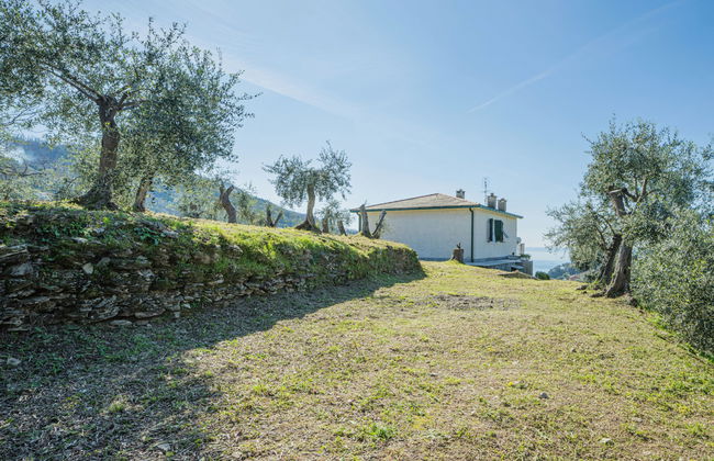 Sorvegallo - Foto 32