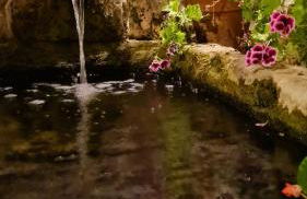 Preciosa casa de pueblo entre Ronda y Setenil La Posada de Catalina - Foto 50