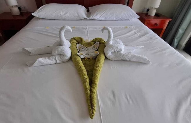 Tropical Secrets Holiday Apartments - Photo 6