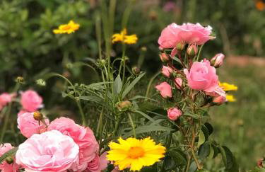 Apartment mit Ausblick - Wörth - Foto 23