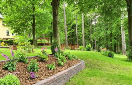 Thüringer Waldbaude - Foto 10