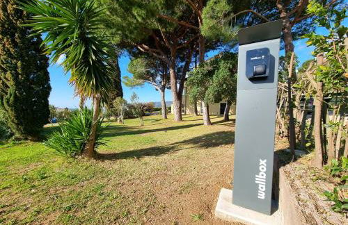 Residenza Mini Hotel - RTA e Appartamenti Vacanza - Foto 22