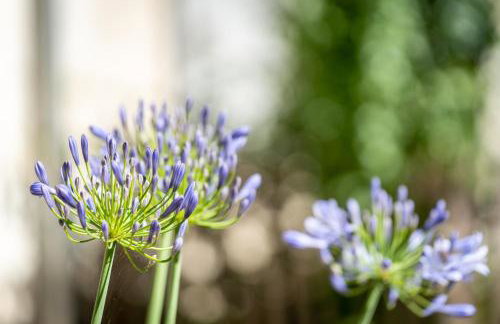 Le Puits Renaissance - Gîtes de caractère et piscine chauffée - Foto 27