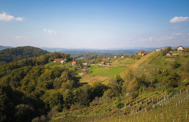 Vineyard Cottage Urban - Foto 16