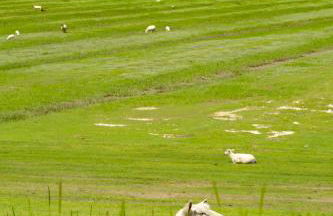 Nordisch Nature Apartments - Foto 32