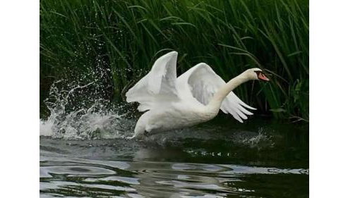 Riverside Lodge Self-Catering Apartment - Foto 5