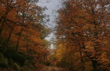 Apartamento Cholo - Foto 13