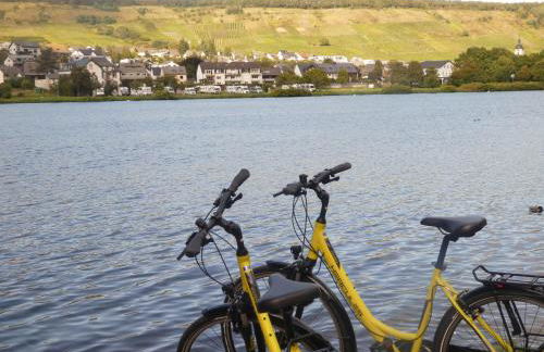 Hausboot Moselrose in Pölich - Foto 29