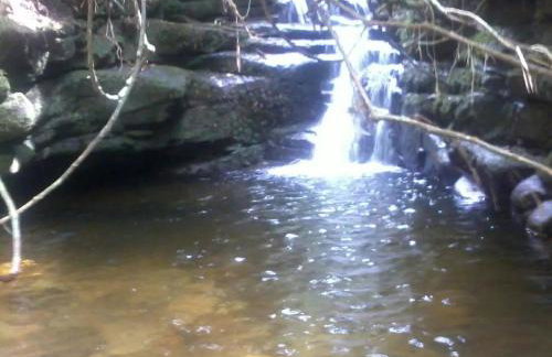 Bangalô - Sítio Cachoeiras do Caledônia - Foto 32