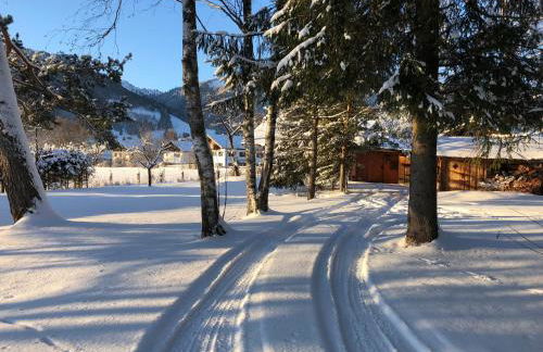 Ferienhaus Veronika mit 2000qm Garten und Bergblick - Photo 35