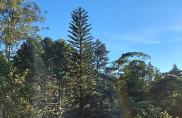 Casa Canto Verde - Foto 62