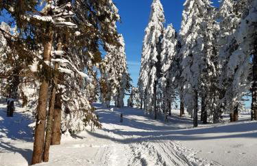 Chata góralska Wojtasówka - Foto 69