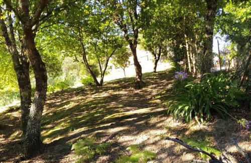 Lake Square House - Foto 12