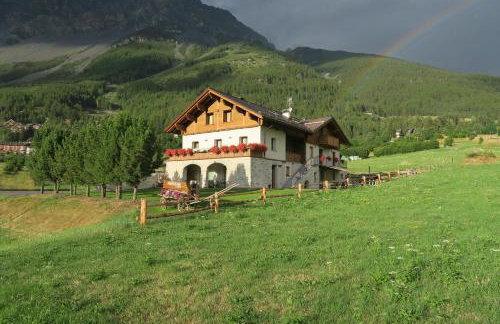 AGRITURISMO SAN GALLO - Foto 8