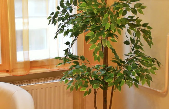 Paprika Apartment Studio - Foto 3