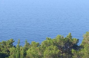 Apartments Berti - Foto 46