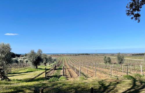 Casa Rosmarino, grill, Wi-Fi by ToscanaTour - Foto 47