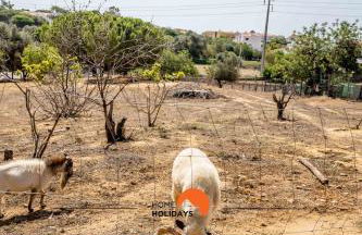 #178 Monte das Churras 1 by Home Holidays - Foto 45