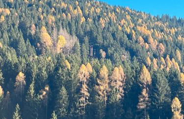 Palazzo Righi - Foto 9