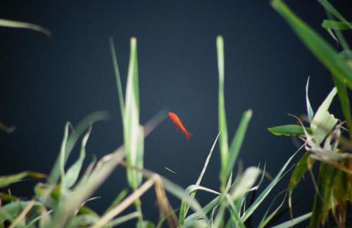 TOTAL SEA VIEW ll Grimaldi Menton - Foto 66