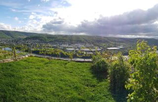 Apartment an der Mosel 1 - Foto 59