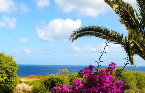 Palm Apartment - Foto 7