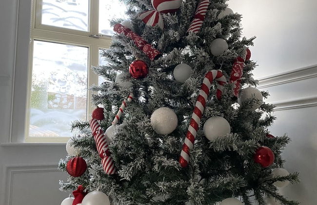 Rostrevor Valley Holiday Park- En-suite Rooms with Hot tub and Private Car Service - Foto 47