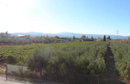 Kostas Family House - Foto 60