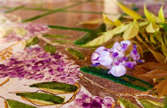 Ars Naturae Biologic Farm - Foto 52