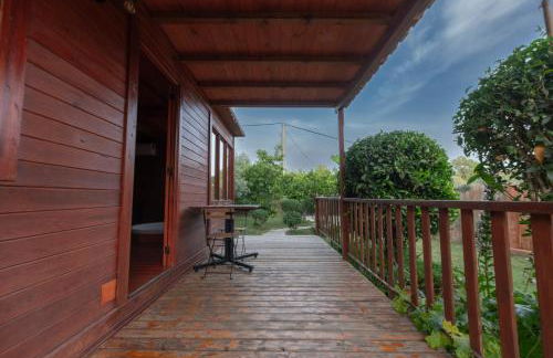 El jardín del Edén - Foto 33