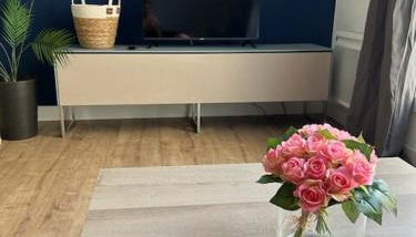 Appartement entier 100m de la gare face au théâtre Molière - Foto 2