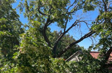 Studio Apartmani Kremić - Foto 36