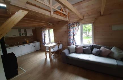 Domek Nad Stawem Bory Tucholskie - Foto 17