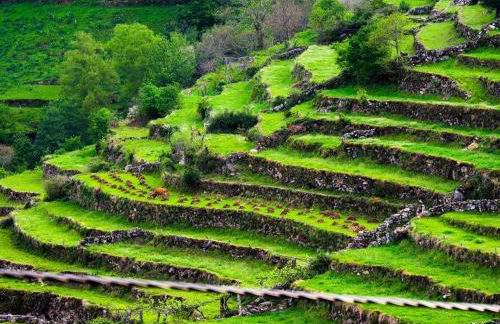 Jardim da Rosa - Foto 44